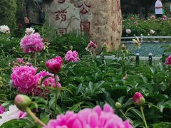 -长春公园(普阳街道)