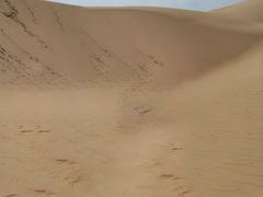 -银肯塔拉沙漠生态旅游景区