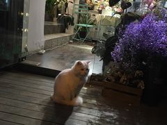 -秀·爱尔兰餐吧(上海路店)