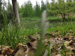 -艾溪湖湿地公园