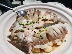 -单家老院·院子里的青岛菜(沙子口店)