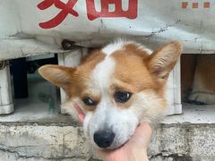 -小梁哥云吞面(黄贝岭店)