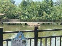 -溱湖国家湿地公园