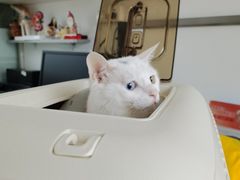 -宠颐生中康贝怡动物医院
