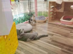-吾悦广场(天津和平店)
