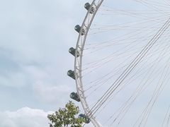 -新加坡摩天观景轮