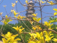 -渭南桃花源民俗文化园