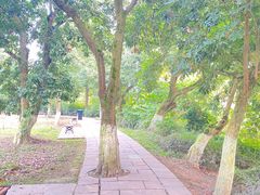 -张坝桂圆林公园