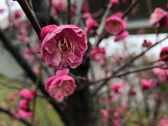-侵华日军南京大屠杀遇难同胞纪念馆