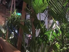 -大头椰·椰子鸡火锅(南宁万象城店)