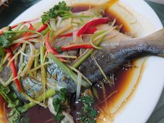 -船歌·鱼水饺青岛菜(闽江二路店)