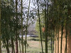 -良渚古城遗址公园