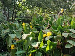 -杭州城北体育公园