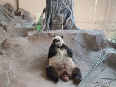 -宁波野生动物园
