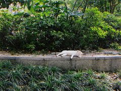 -Wagas沃歌斯(大学路店)