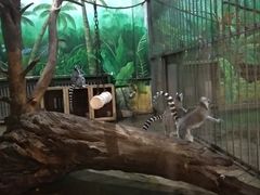 -西安秦岭野生动物园