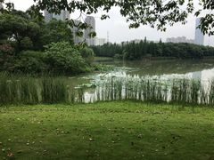 -艾溪湖湿地公园