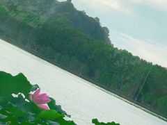 -湖畔居茶楼(湖滨店)