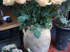 -在路上酒吧(大理古城店)