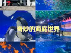 -南京海底世界