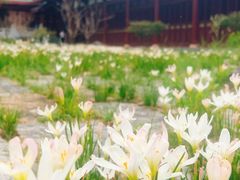 -莆田南少林寺