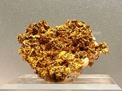 -中国地质博物馆