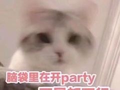 -全欧语言留学考试(德法西意俄南京总部校区)