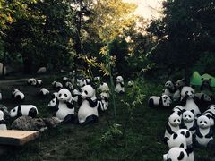 -西安秦岭野生动物园