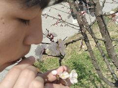 -汉长安城未央宫国家考古遗址公园