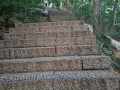 -紫金山山顶公园