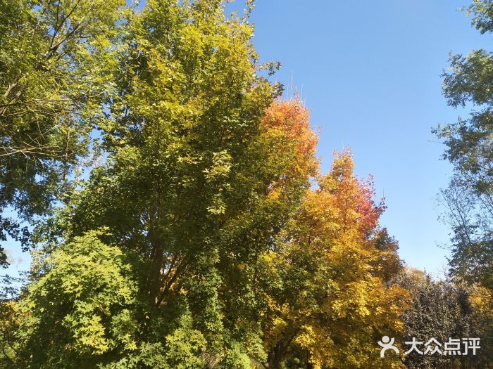 東壩郊野公園景點圖片