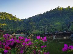 -西双版纳原始森林公园