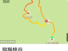 -大岭沟猕猴桃谷风景区