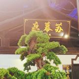 正宗宁波菜推荐！