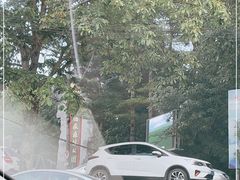 -朱雀国家森林公园