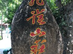 -西双版纳原始森林公园