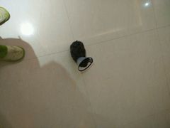 android_upload_pic-菲丽丝宠物医院·24小时·猫科中心·免疫点(淮海分院)