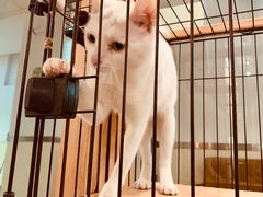 -iF摄影•全家福•证件照•形象照(南山店)