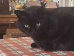-春风十里咖啡馆