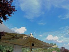 -上海佘山世茂艾美酒店