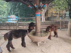 -石家庄市动物园