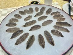 -荔城生鲜盛宴(番禺旗舰店)