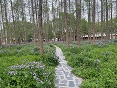 -上海交通大学(闵行校区)