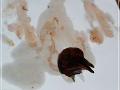 -汤城小厨•粤菜•靓汤(西直门凯德MALL店)