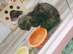 -吾悦广场(天津和平店)