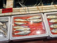 -榕树下海鲜馆(坪山路店)