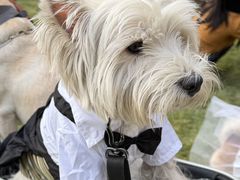 -上海神旺大酒店