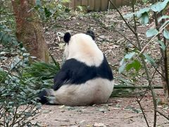 -深圳博物馆历史民俗馆