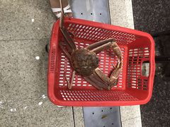 -蚝专家(北滘店)