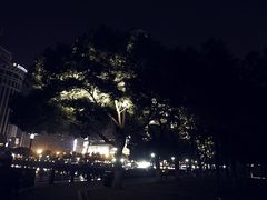 -西北湖绿化广场
